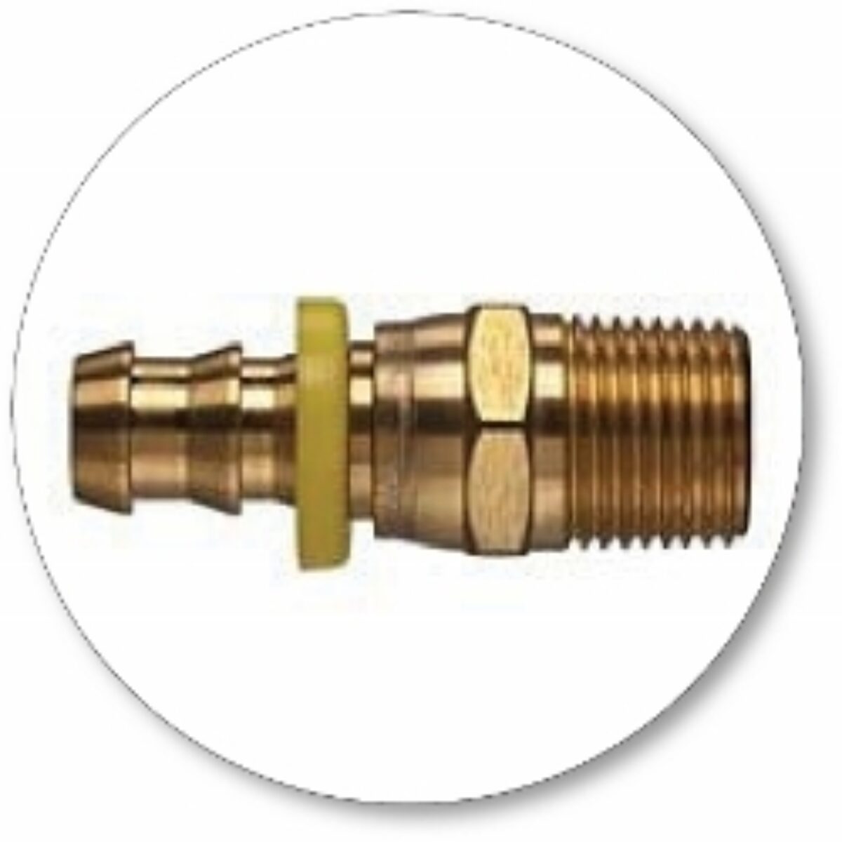 Hose x Male NPT Brass/Stainless Steel Swivel